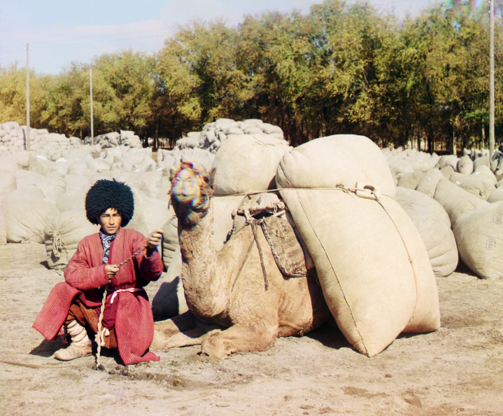 Turkmen_man_with_camel.jpg